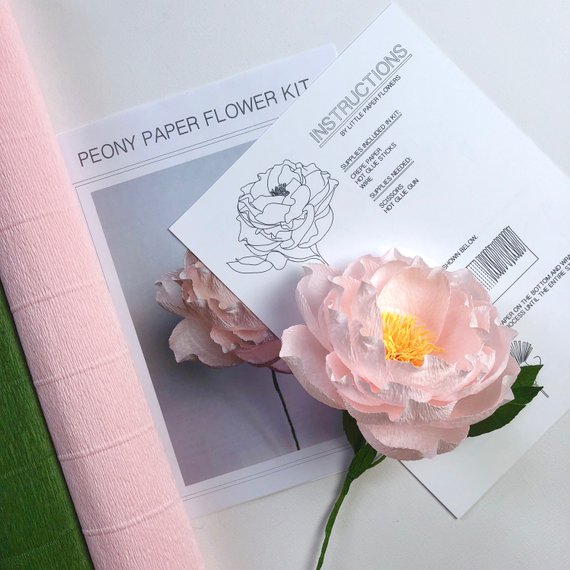 make your own valentine paper peonies hosted by little paper peony paper flower